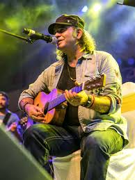 Mohit chauhan wedding show fees